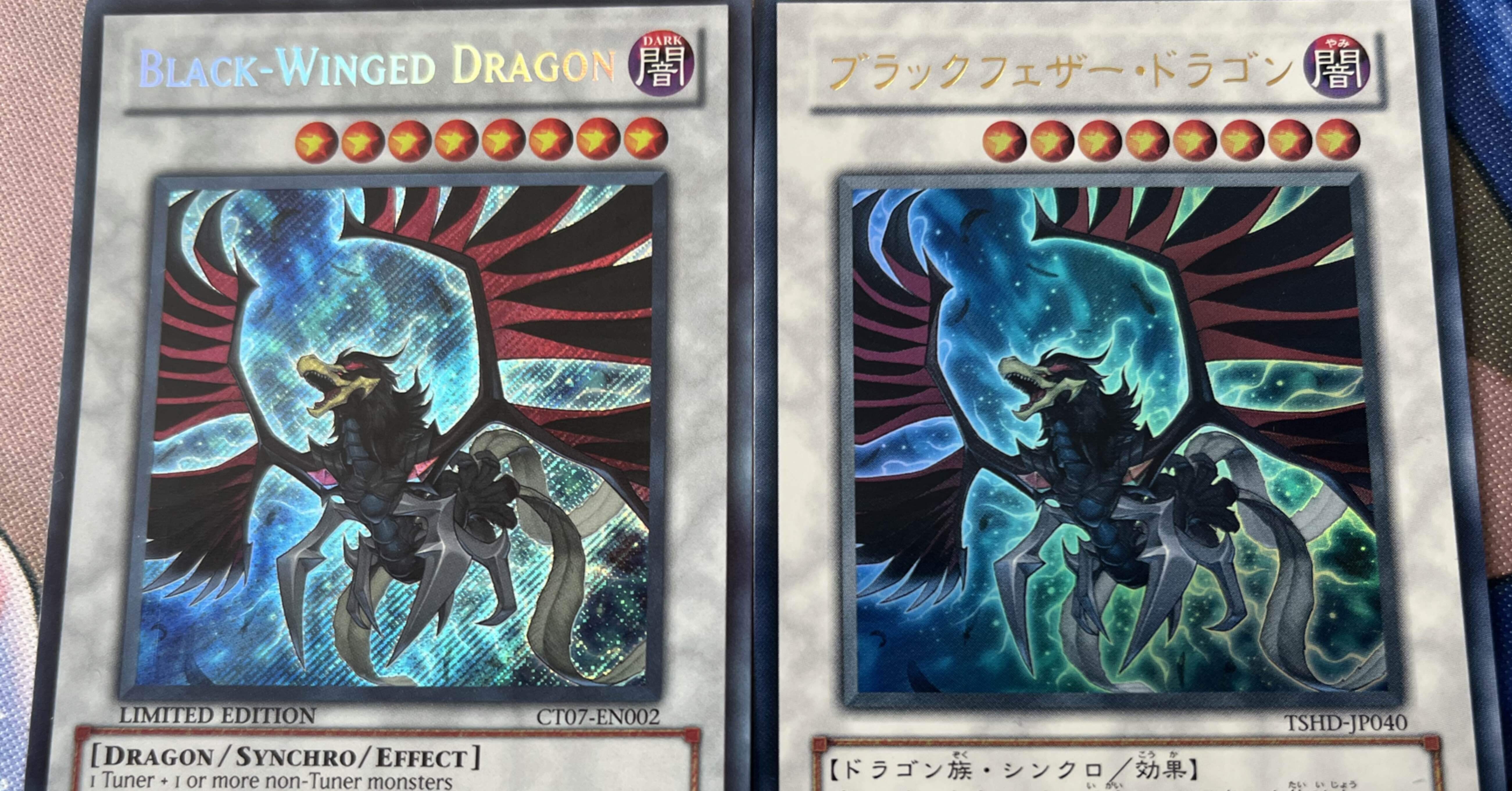 ブラックフェザードラゴン大好きだけど、実は… デッキ紹介「黒羽マギ