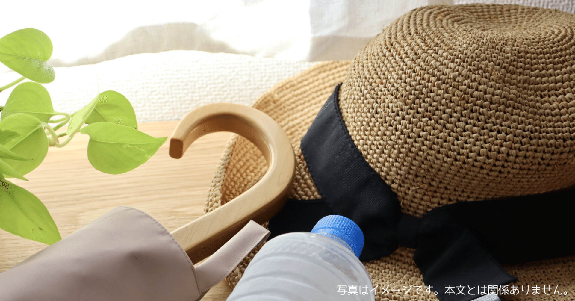 TORRASはどこの国のメーカー・会社？ネッククーラー│COOLIFY Cyber