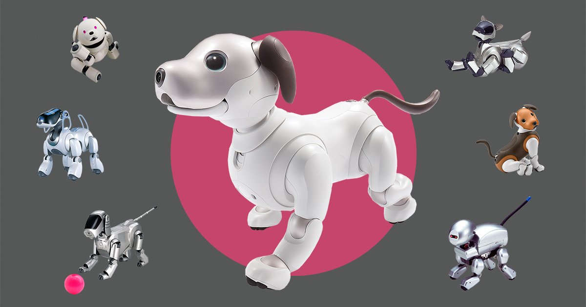 Zen and the Art of Aibo Engineering - IEEE Spectrum