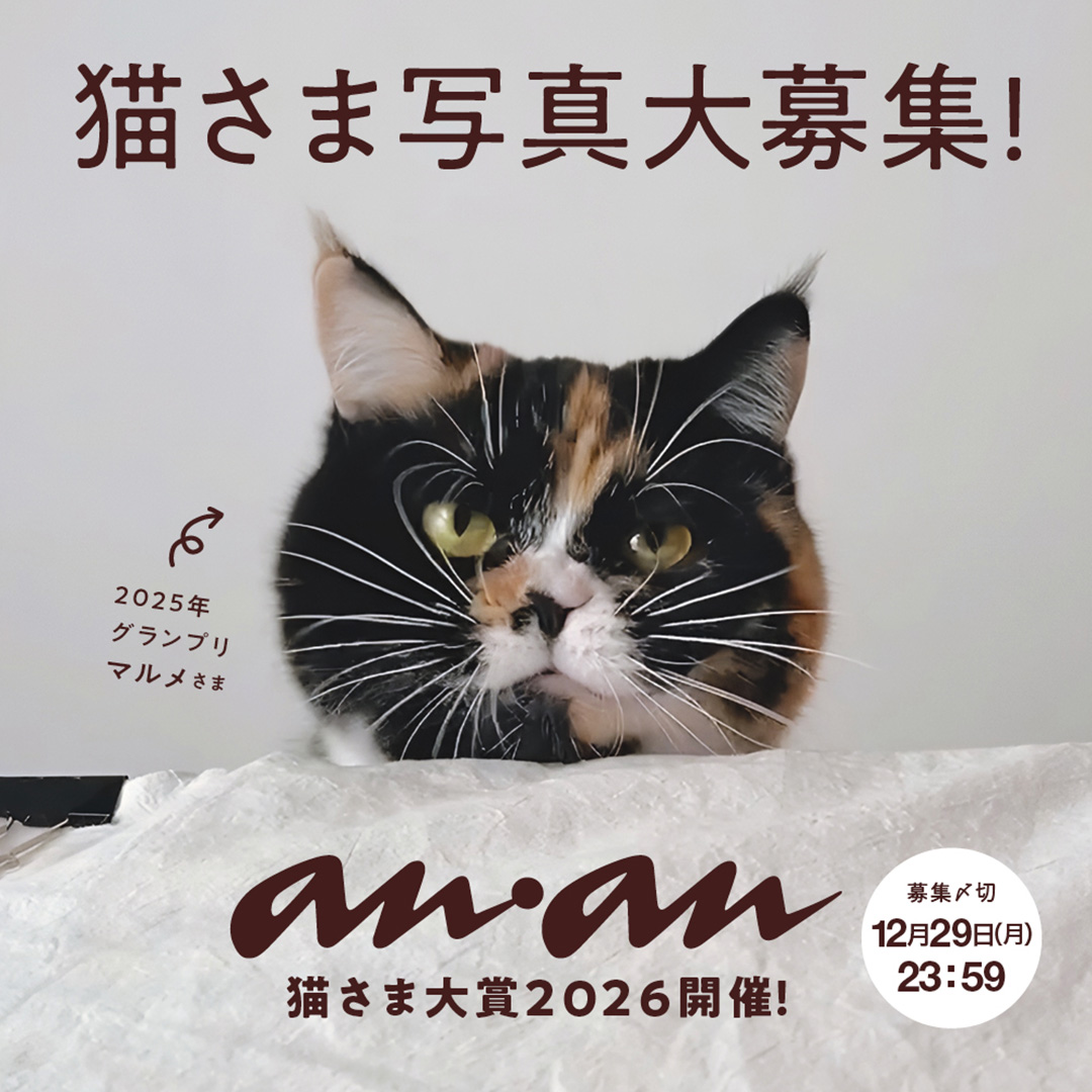 皆さんのにゃんこ写真を待っています！ anan「にゃんこLOVEムック・猫