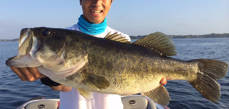 Fish Rules - Bass, Largemouth in Mississippi State Waters