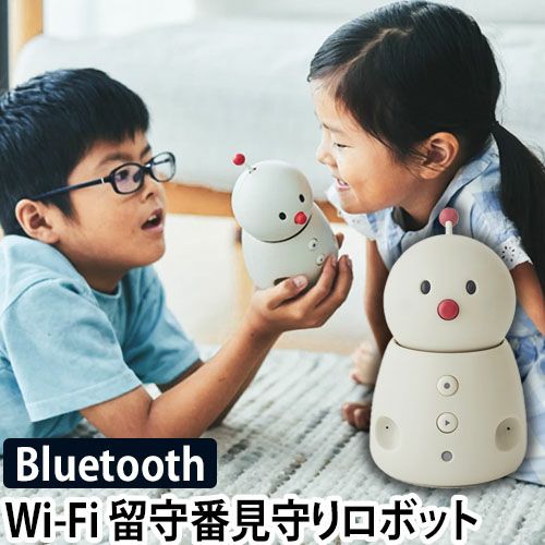 見守り ロボット 留守番 コミュニケーション BOCCO emo ボッコ エモ