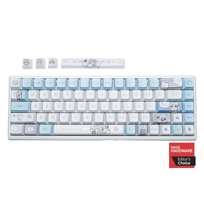 KITSUNE - Polar 65 | 75 PRO Magnetic Gaming Keyboard – Arbiter Studio