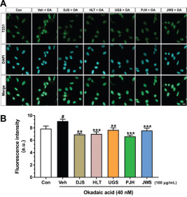 Therapeutic Potential of Traditional Oriental Medicines in
