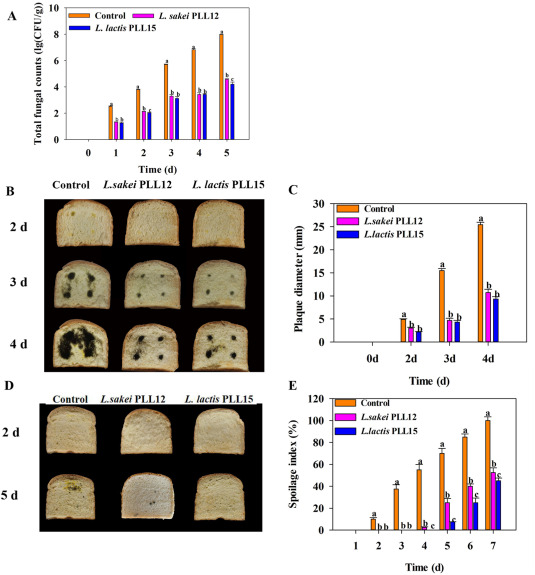 Antifungal activity of Lactobacillus sakei PLL12 and Lactococcus