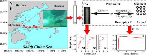 In situ arsenic speciation and the release kinetics in coastal