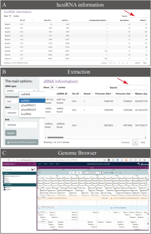 CsMPDB 1.0: An interactive web application for visualizing and