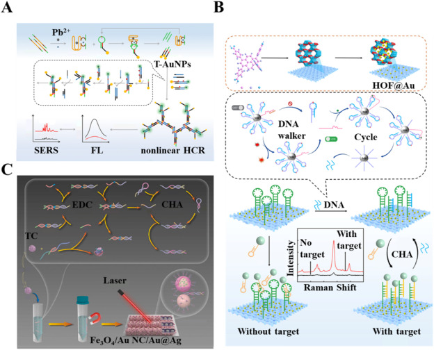 Recent advance in nucleic acid amplification-based surface