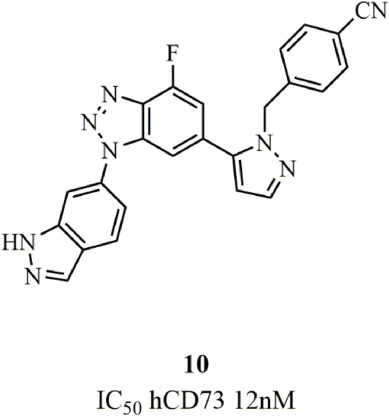 Advances in CD73 inhibitors for immunotherapy: Antibodies