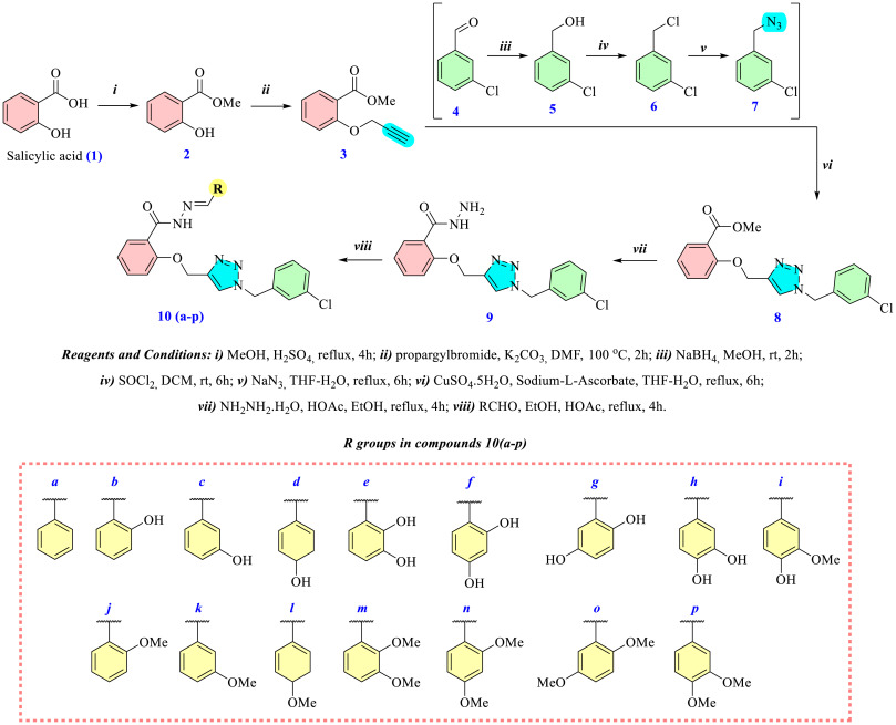 Synthesis, characterization, In vitro and In silico investigations