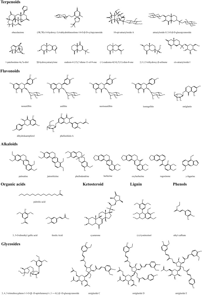 Component identification of modified sanmiao pills by UPLC-Xevo G2