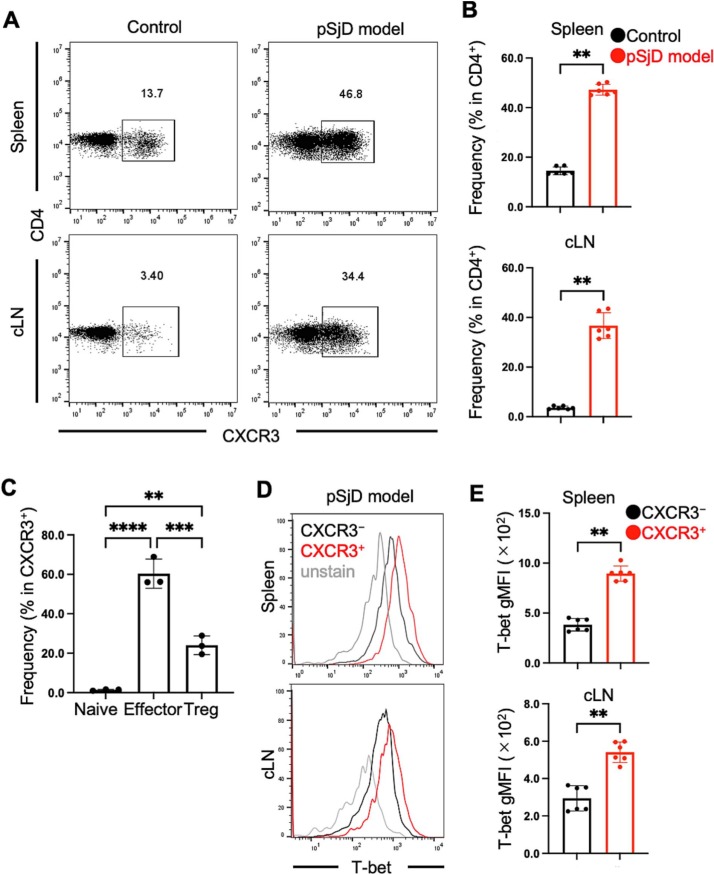 Differential chemokine profiles between lacrimal and salivary