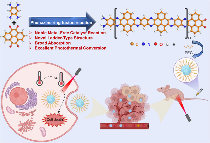 A novel conjugated polymer synthesized via a noble metal-free