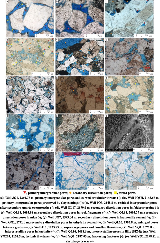 Differential diagenetic and densification processes of low