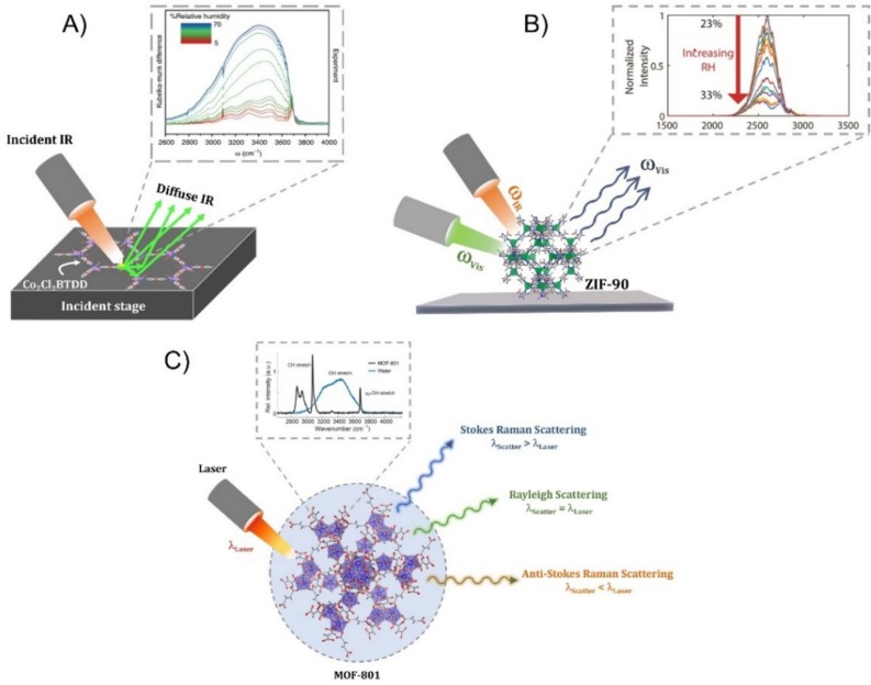 Deciphering the functions of metal-organic frameworks and their