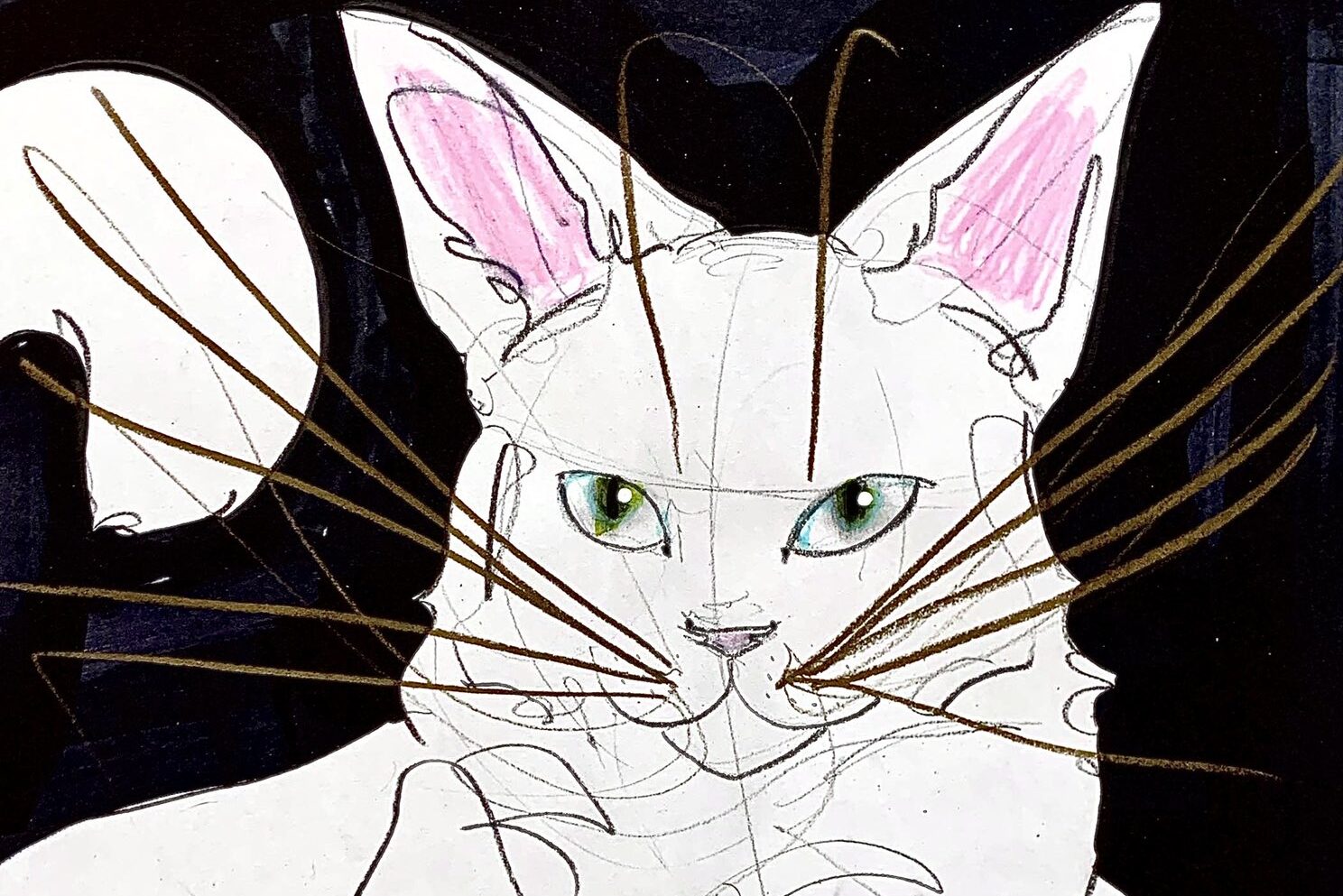 メルカリ出品数1万超！5分間ドローイングの入手は争奪戦！！【木原千春