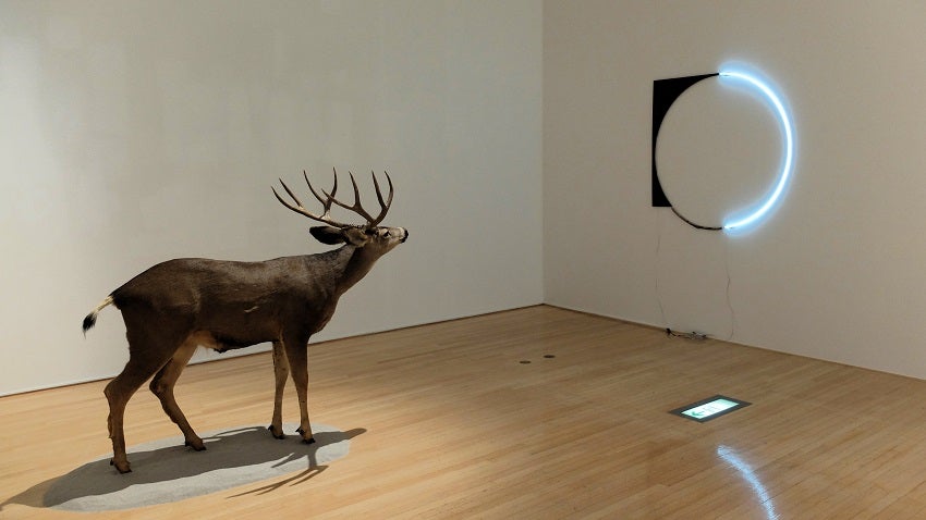 レビュー】「未完の始まり―未来のヴンダーカンマー」 豊田市美術館