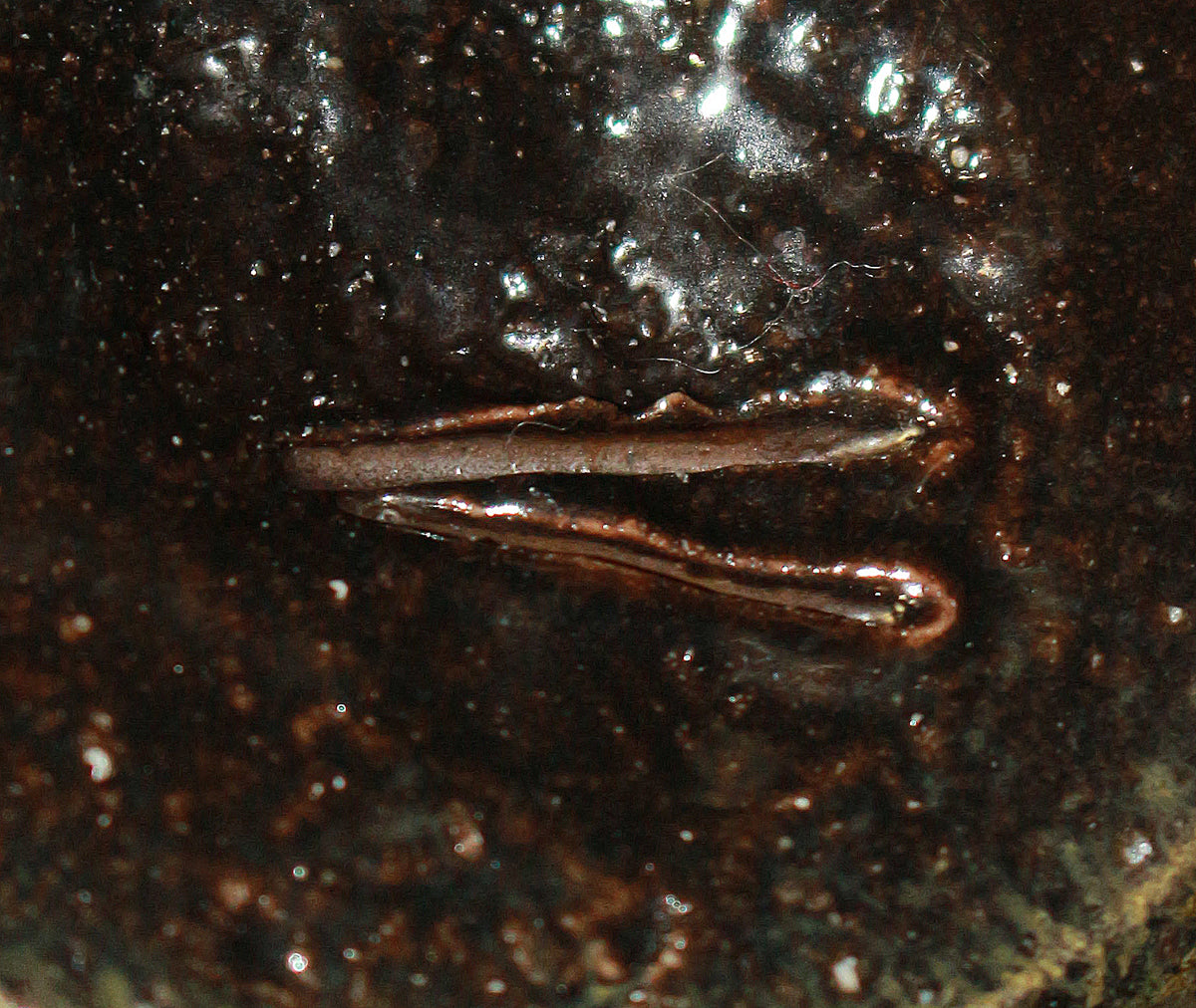 26062 伊勢崎淳 備前黒徳利 – アート飛田