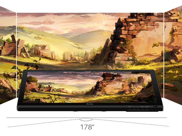 Artisul D22S Pen Display Digital Graphics Tablet