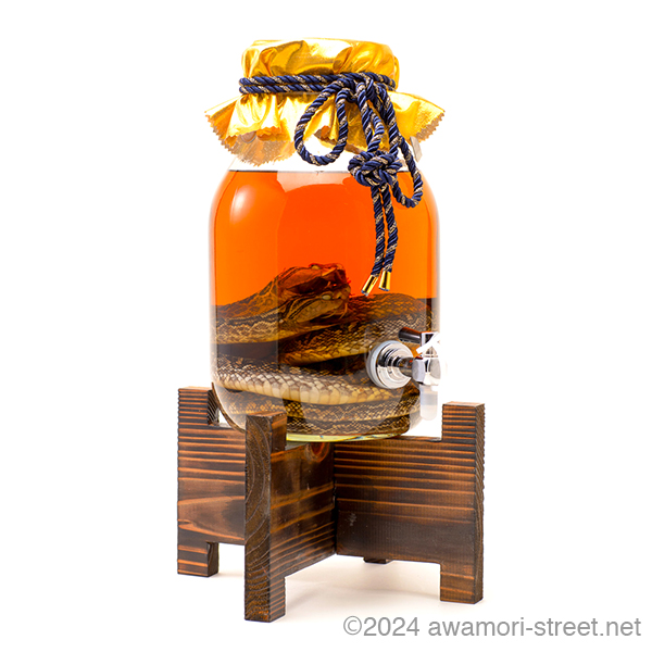 ハブ入りハブ酒 蛇口付き 35度,3300ml / 南都酒造 / 泡盛ストリート.net