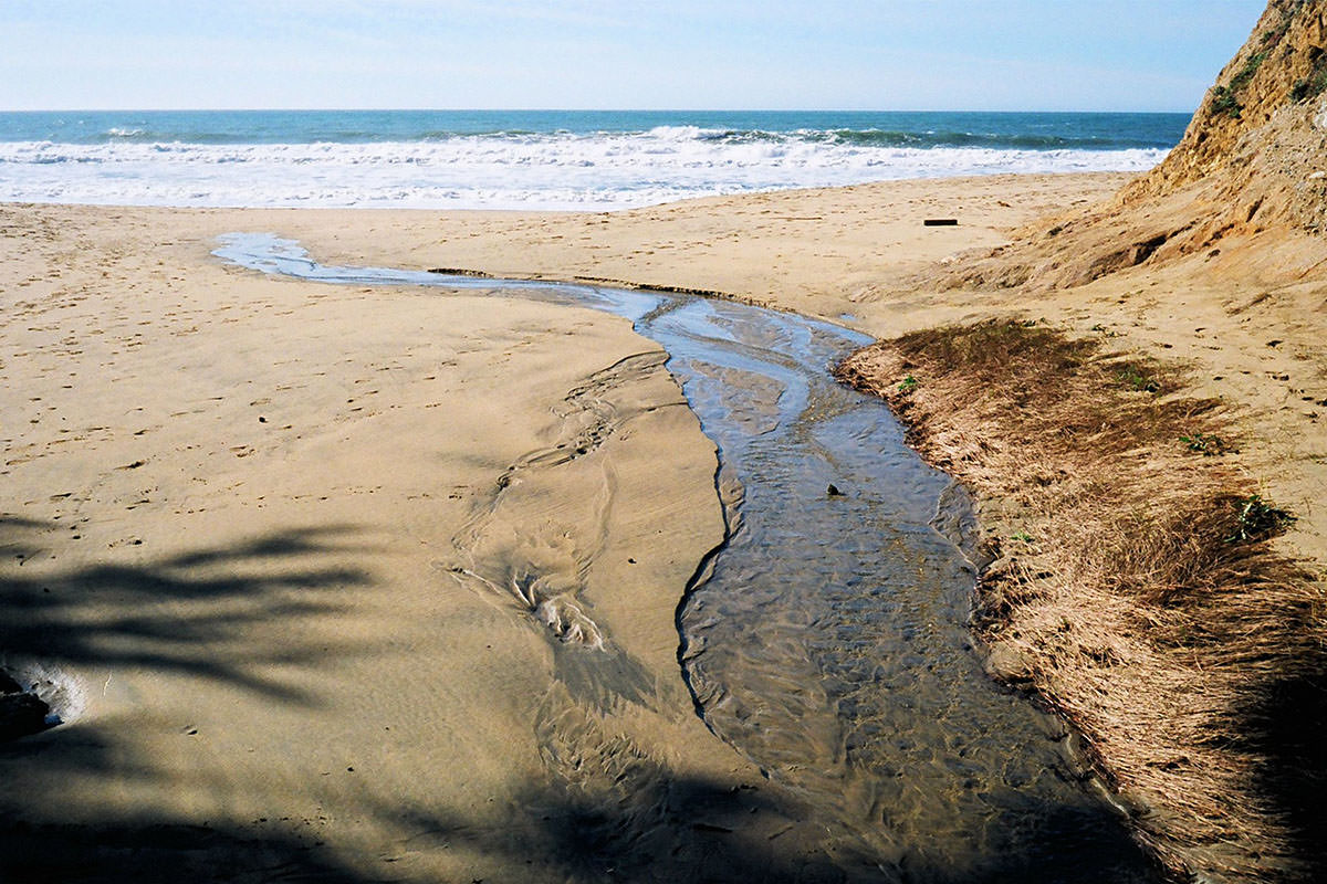 Color-Skopar 35mm f2.5 Ⅰ, P IIの作例 | ライカの作例を探す