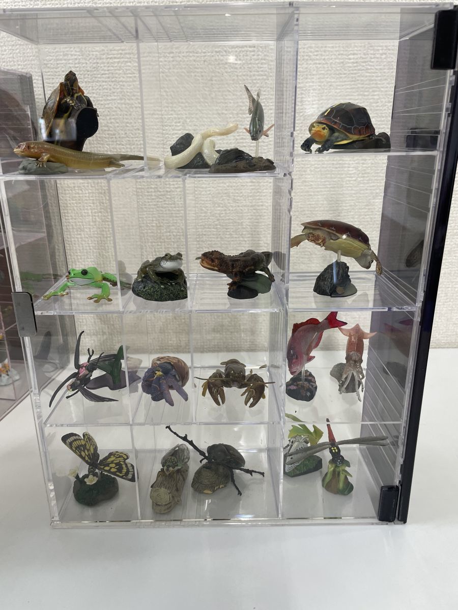 新品・全巻セット】週刊 日本の天然記念物 動物編 全50巻＋専用