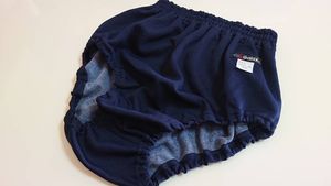 ギャレックス ブルマのYahoo!オークション(旧ヤフオク!)の相場・価格を