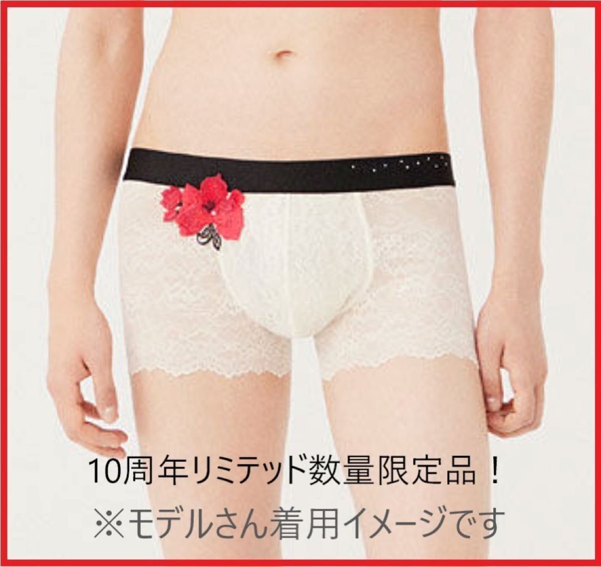 ワコールメン レース ボクサー サイズL カラー RE 新品タグ付 10周年