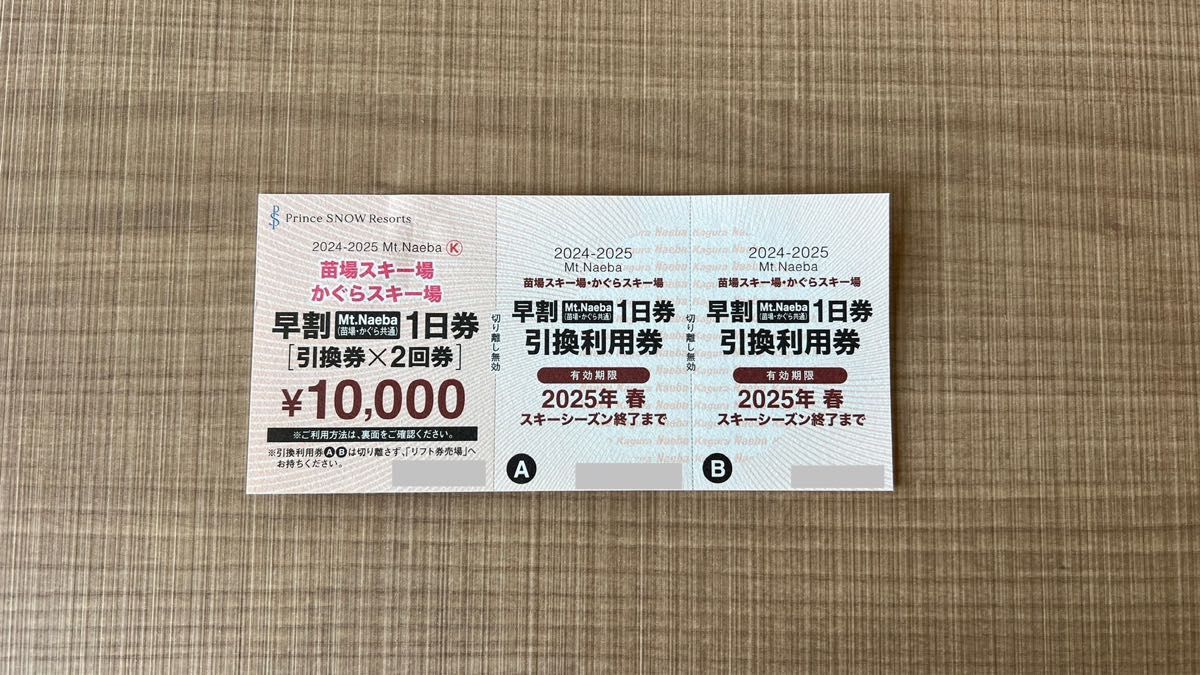 2024-2025 Mt.Naeba 苗場・かぐらスキー場 リフト券 【公式通販】