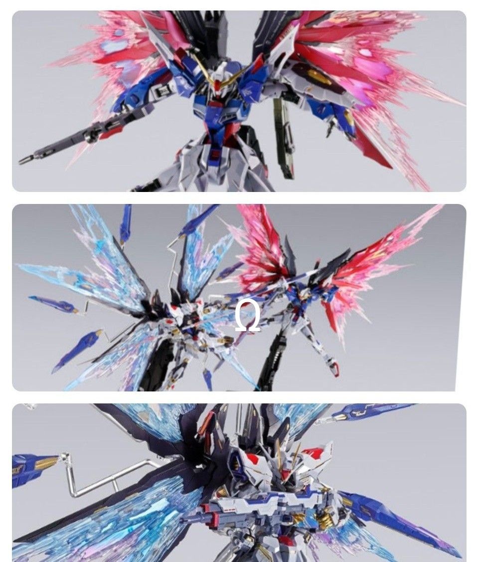 METAL BUILD FESTIVAL2024 ストライクフリーダムガンダム