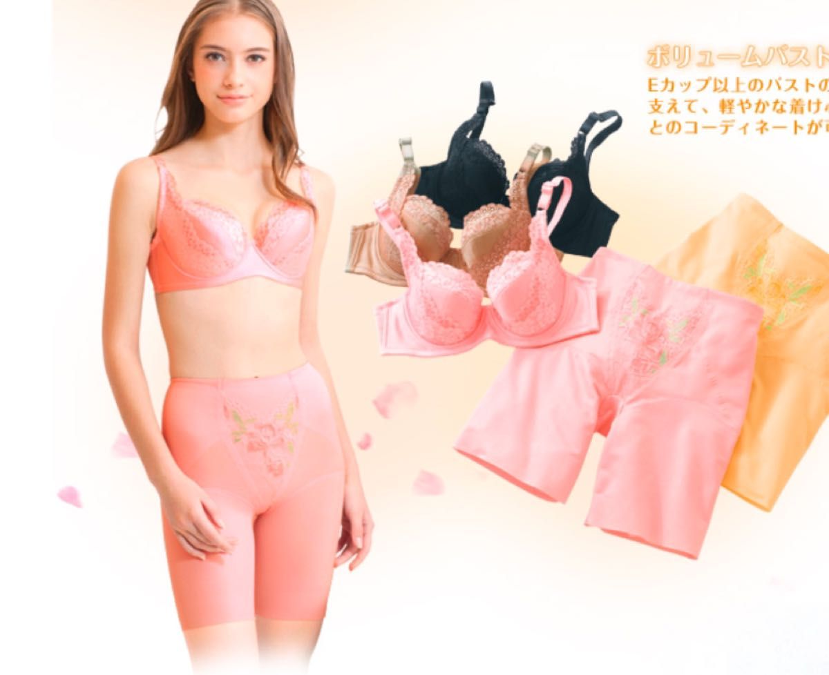 シャルレ ラージカップブラジャー E80 85 F75 80 85 G65 70 ブラウン