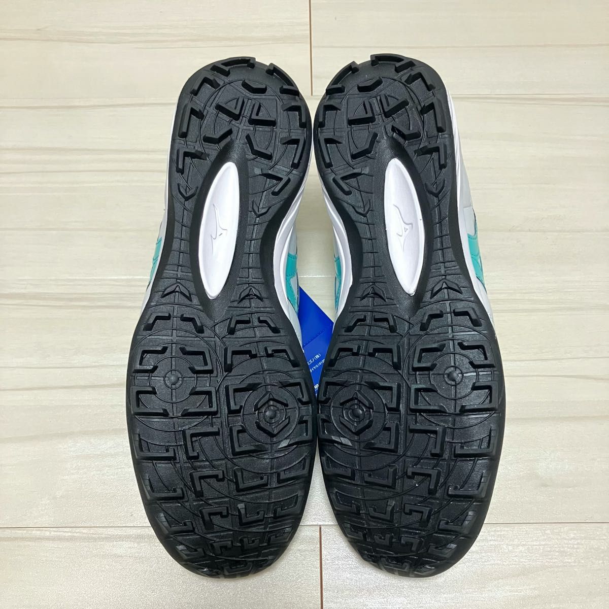 ペイントカスタム MIZUNO ミズノ モレリア TF 25 5cm / サラ