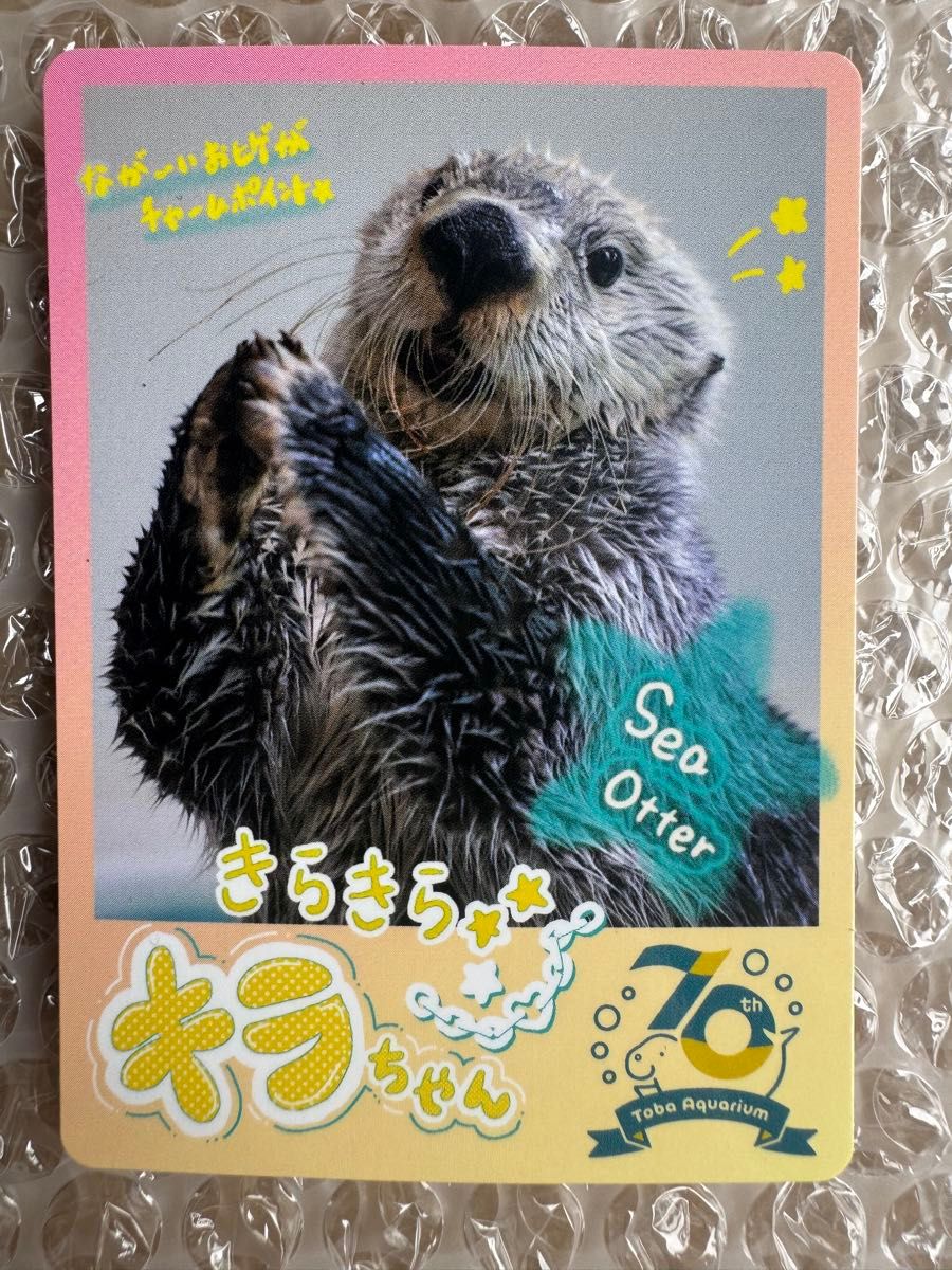 鳥羽水族館 TOBA AQUARIUMコレクションカード ラッコ『キラ』 キラ
