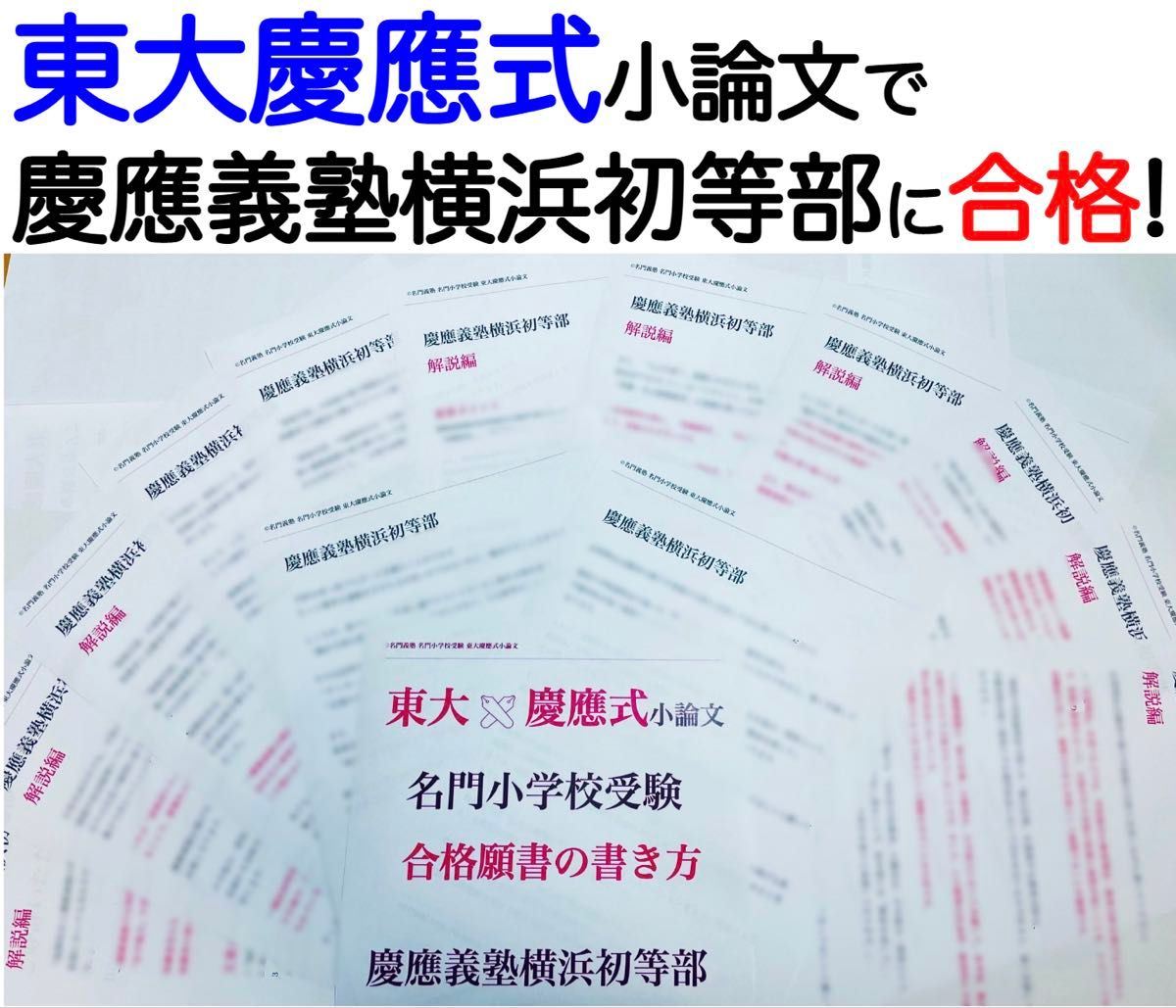 慶應義塾横浜初等部 過去問 問題集 願書 早稲田実業初等部 慶應義塾