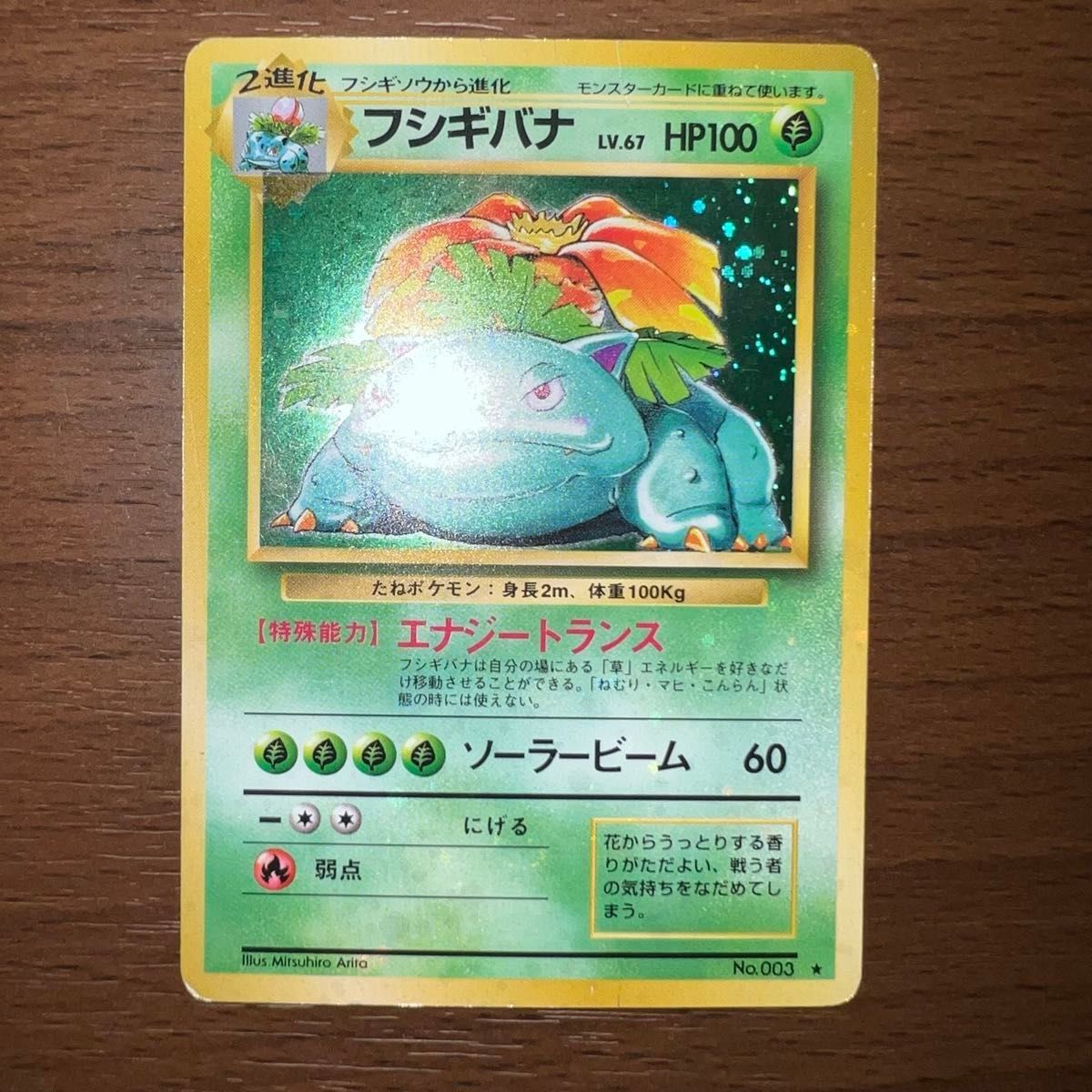 旧裏 全面ホロ】フシギバナ 第1弾拡張パック 全面ホロ 旧裏 フシギバナ