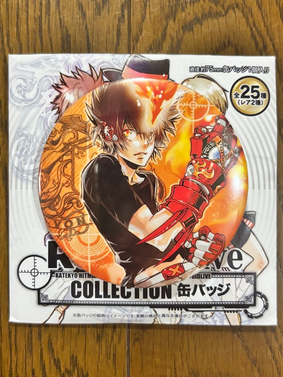 REBORN!】沢田綱吉 ツナ たまっぷ 缶バッジコレクション リボーン