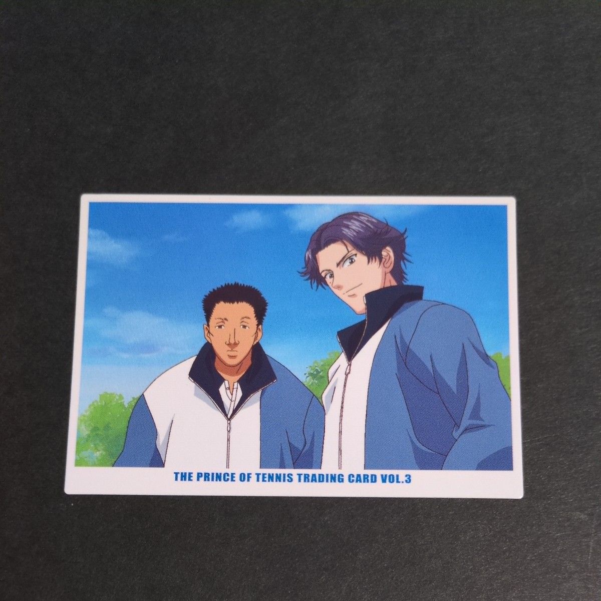 KONAMI コナミ テニスの王子様 トレーディングカード vol 3 氷帝学園