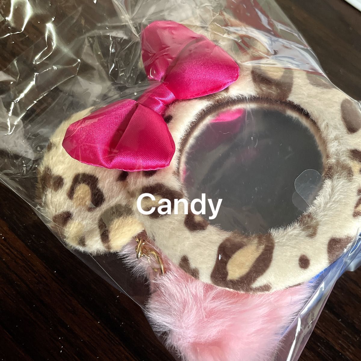 ディズニーリゾート ヒョウ柄 リップケース ミラー ミニー ピンク 未