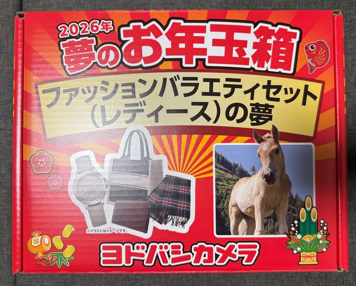 ヨドバシカメラ 福袋 ファッションバラエティセット（レディース）の夢