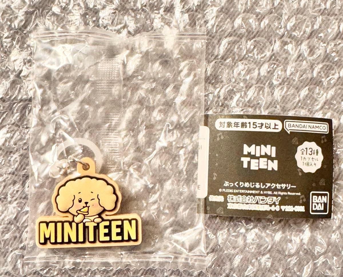 ミニティーンぷっくりめじるしアクセサリー ガチャ ドギョム DOA ドア