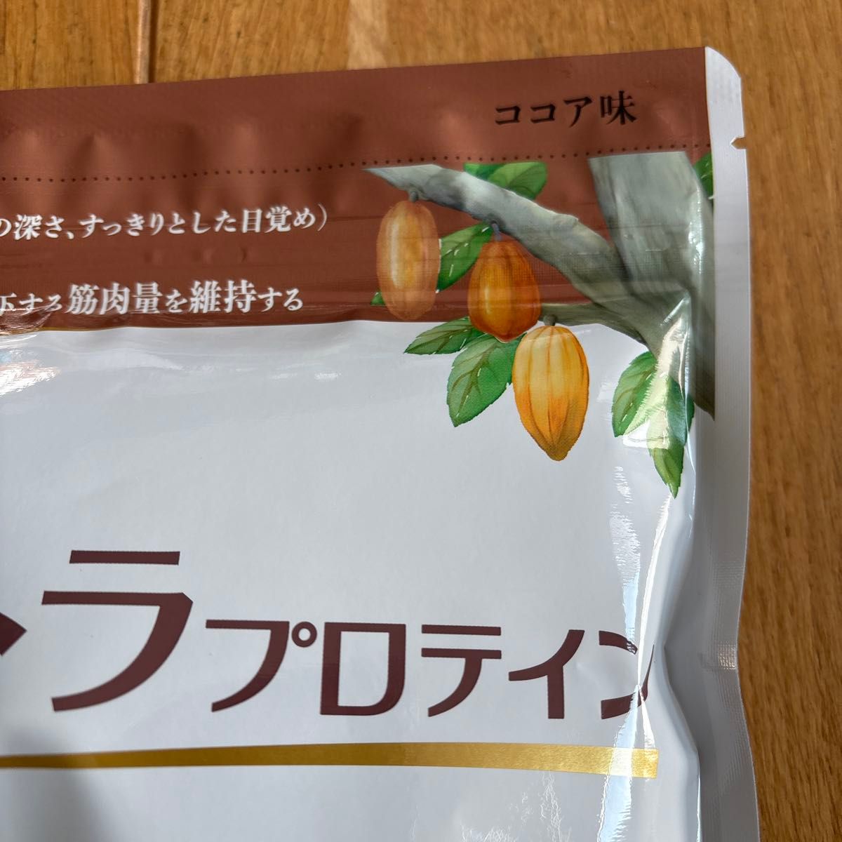 カーブス ウルトラプロテイン GABA ココア味 約27食分 機能性表示食品