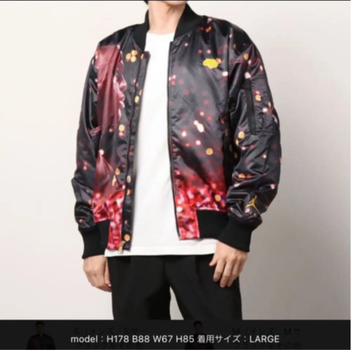 ナイキ ジョーダン Jordan メンズ ブルゾン ジャンプマン アウター