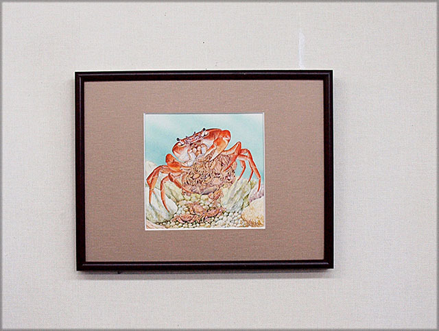 水彩画 生物細密画「サワガニの子育て」｜Yahoo!フリマ（旧PayPayフリマ）