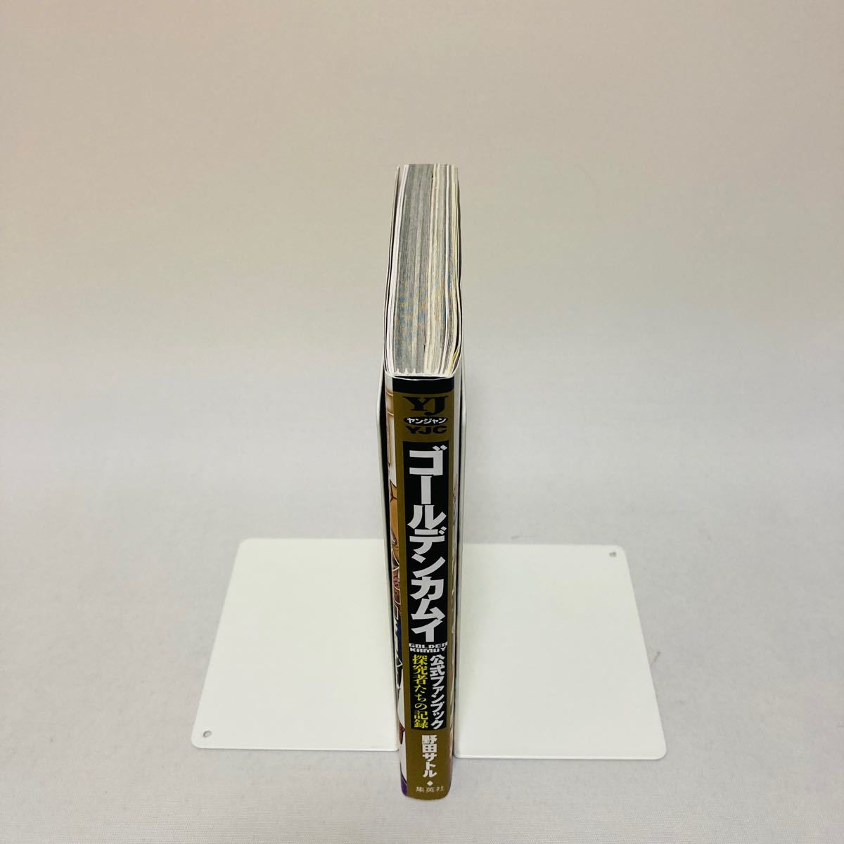 ゴールデンカムイ 既刊 全巻 1〜29巻+公式ファンブック 野田サトル