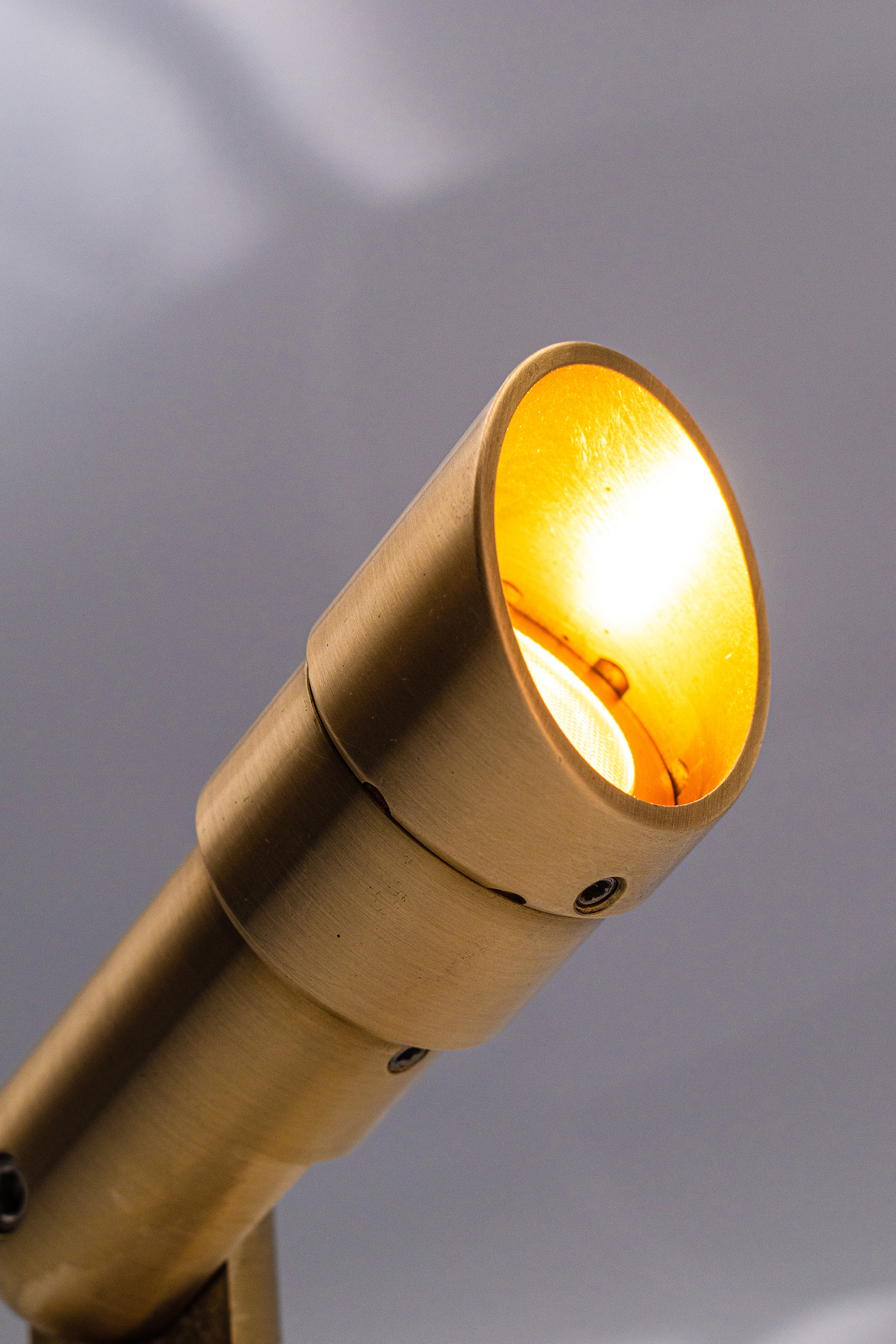 DIR100140 Agave – Auroralight