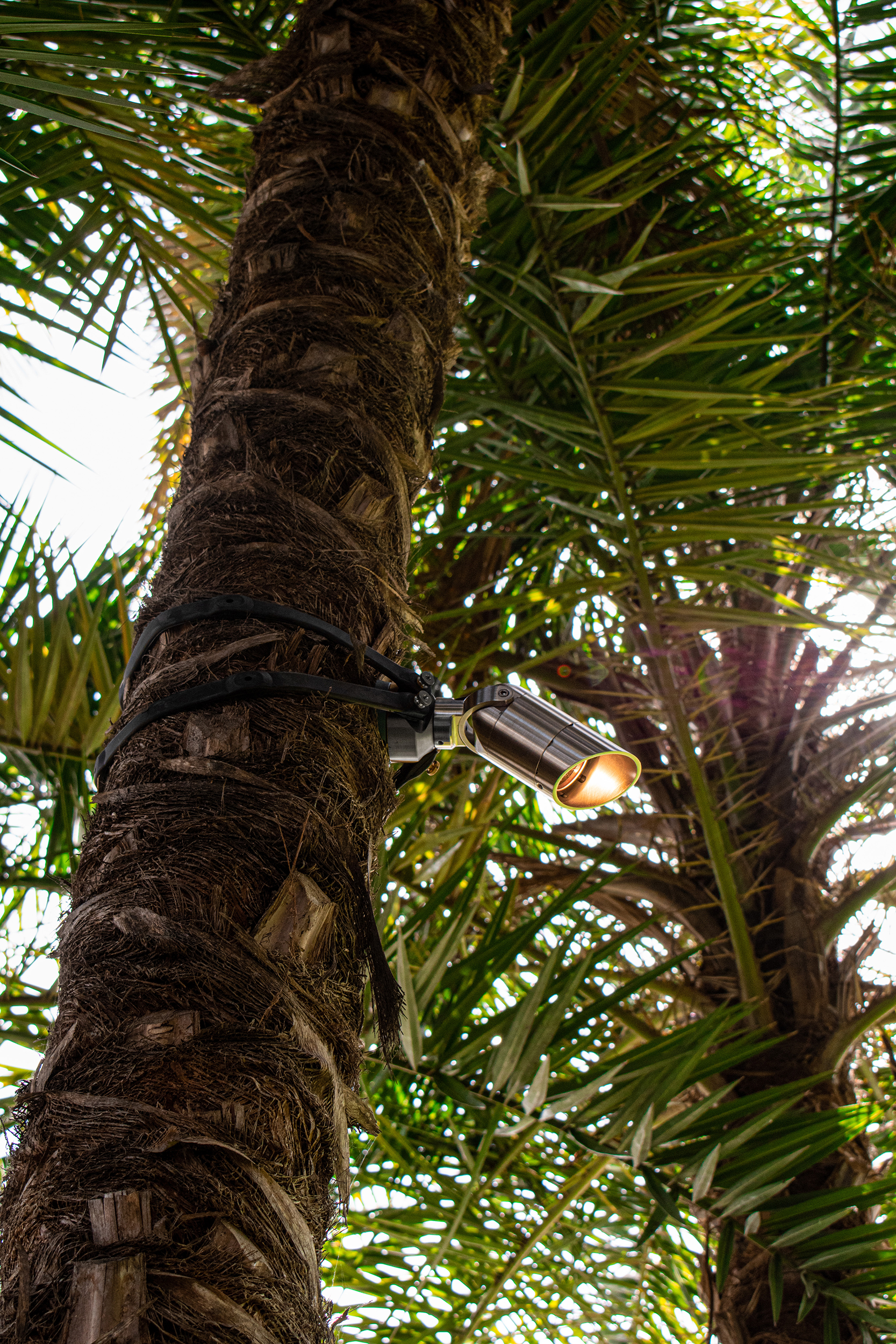 SDL160164 Telluride – Auroralight