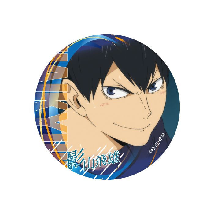 ハイキュー 日向翔陽 影山飛雄 花札 缶バッジ ハイキュー 日向翔陽 影山飛
