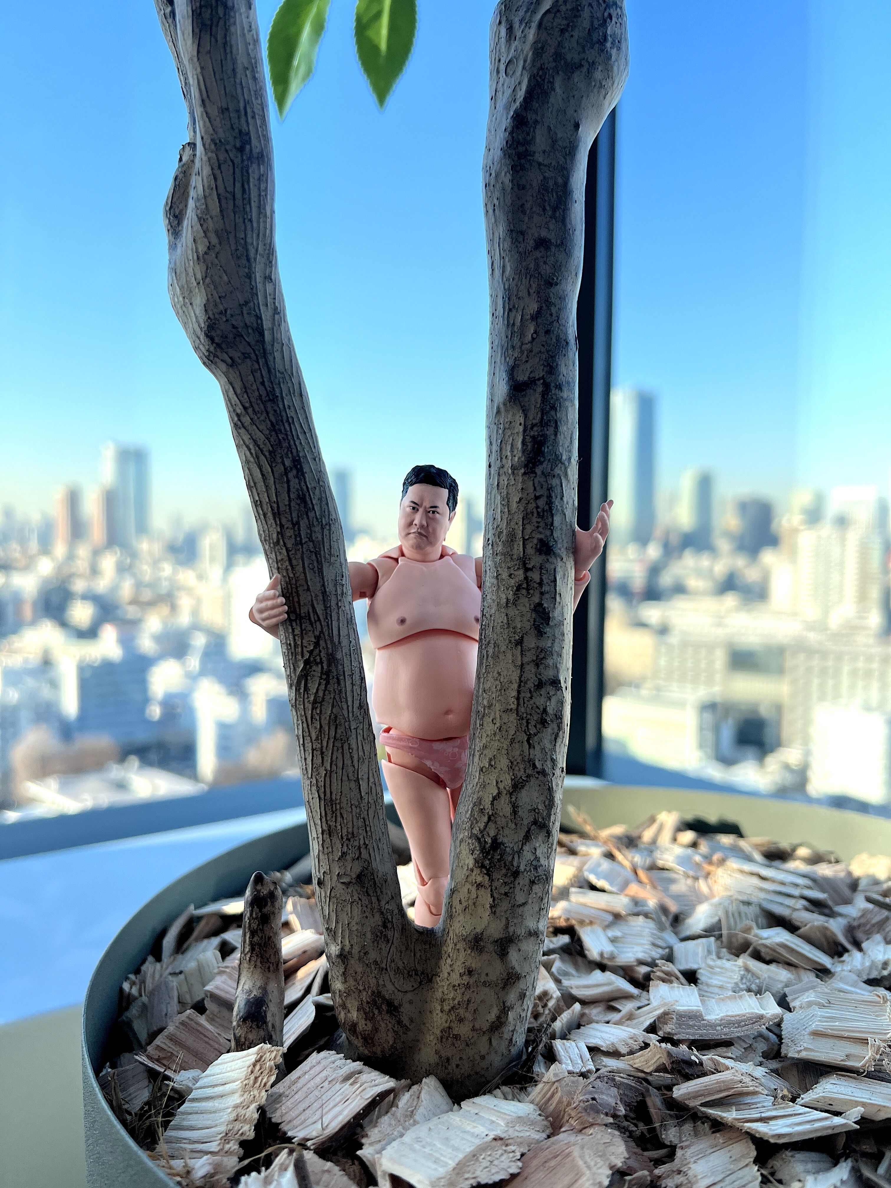 S.H.Figuarts 「とにかく明るい安村」 企画担当者インタビュー