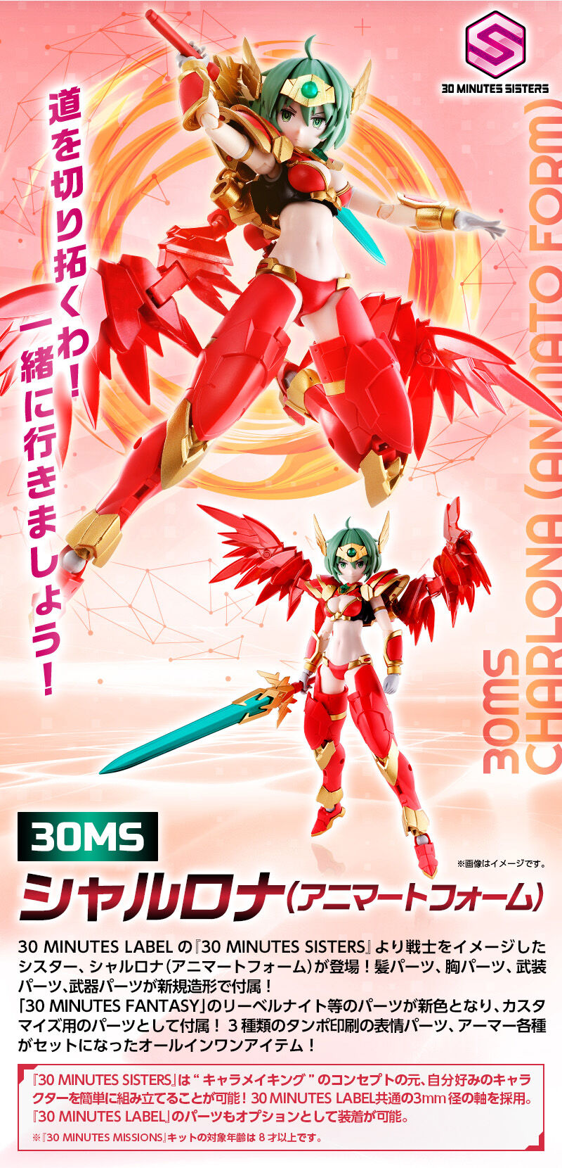 30MS シャルロナ 30MS シャルロナ(アニマートフォーム) | 30 MINUTES