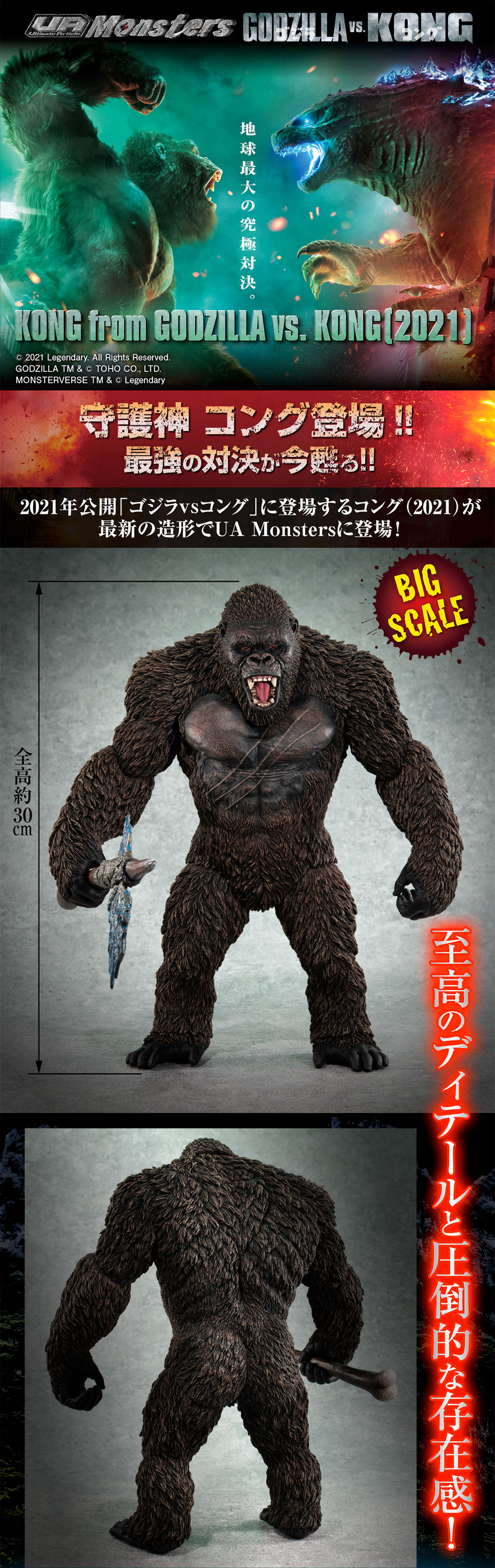 UA Monsters KONG from GODZILLAvs.KONG (2021) | ゴジラシリーズ